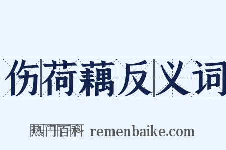 伤荷藕反义词是什么意思的图片
